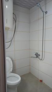 a bathroom with a toilet and a shower at Iamze's Guest House in Mestia