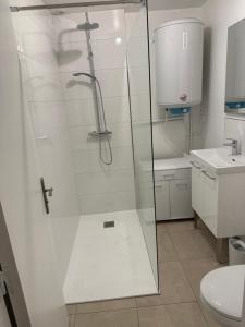 Koupelna v ubytování Appartement Verneuil