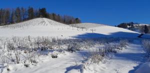 een besneeuwde heuvel met bomen en een berg bij Bioferienhaus Muster - Dominkusch in Pössnitz