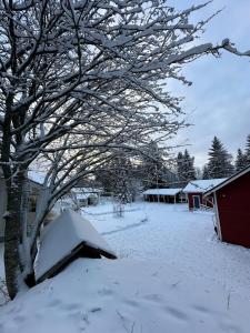 a snow covered yard with a tree and houses at Guest cabin, Haukipudas, sauna and free parking in Haukipudas
