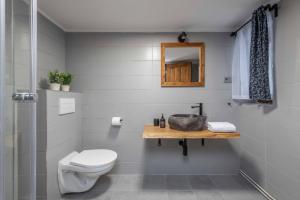 a bathroom with a toilet and a sink and a mirror at Štepánka - Chalet & SPA in Benecko