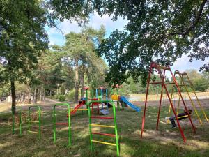 een park met een speeltuin met een ladder en een glijbaan bij Bocianie Gniazdo in Bocheniec