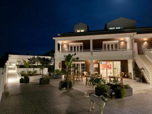 een hond die 's nachts voor een huis staat bij Boutique Hotel - O House Ericeira Hills in Ericeira
