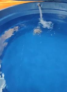 Hồ bơi trong/gần Chalé Maison Blanche