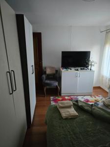 a bedroom with a bed and a tv in a room at Premecki konak in Čačak