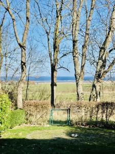 Naturlandskabet i nærheden af feriehuset + 9 billeder