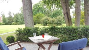 - une table en bois et 2 chaises sur la terrasse dans l'établissement Gutshaus von Bülow - 19-01, à Kägsdorf 1 autre photo