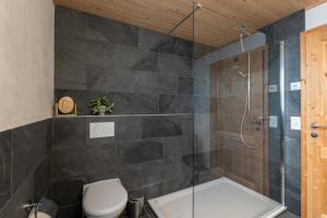 a bathroom with a shower and a toilet at Ganzes Haus am Bodensee in den Bergen im Appenzell in Heiden