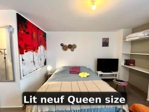 TV a/nebo společenská místnost v ubytování Le ptit chez soi by LPNL Studio confort RDC, Lit Queen, Arrivée autonome