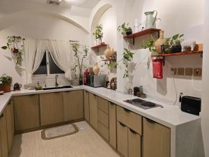 a kitchen with wooden cabinets and a counter with plants at منتجع آركو ARCO Resort in Al Wudayy