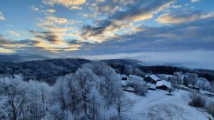 弗赖翁Traumblick Bayerischer Wald, Pool & Sauna, Getränke, Klimaanlage的雪覆盖的山丘上的房子