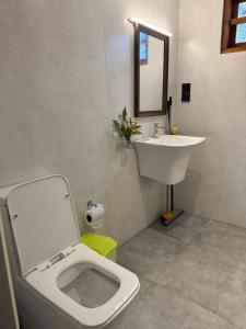 a bathroom with a white toilet and a sink at Villa By Dissa in Dikwella North +5 photos