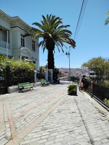 een palmboom en banken voor een gebouw bij De Gino Hostal in El Cerrillo