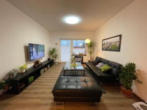 a living room with a leather couch and a tv at Close to Goettingen - unweit von Göttingen in Nörten-Hardenberg