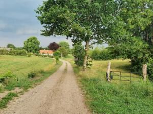 a dirt road in a field with a tree at Slotsgaardens ferielejlighed in Rødding