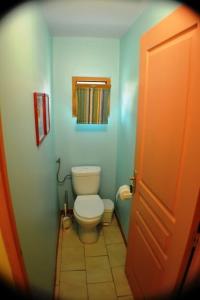 a bathroom with a toilet and a blue wall at Mirabel #3, Maisonette, terrace and pool access in Grospierres