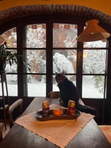 a cat sitting on a table in front of a window at La casa Arancione in Boves