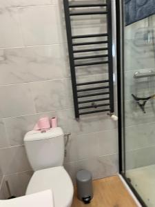 a bathroom with a toilet and a glass shower at Gite St Vincent in Foix