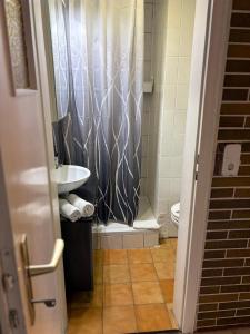 a bathroom with a shower curtain and a sink at Am Fulda-Ufer in Kassel