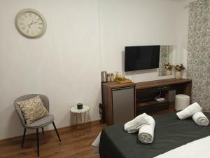 a bedroom with a bed and a tv and a chair at Studio Kath&Darc in Ruse