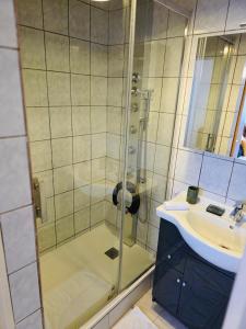 een douche met een glazen deur naast een wastafel bij Le Cocon Bright Large TV Free parking in Fleury-les-Aubrais +9 foto's