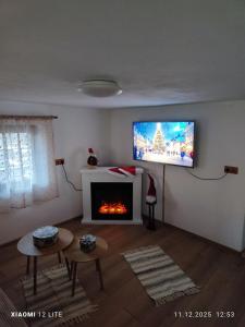 a living room with a fireplace and a flat screen tv at River Haus in Călineşti