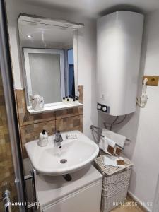 a bathroom with a white sink and a mirror at River Haus in Călineşti +56 photos