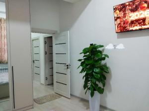 una stanza con una pianta in vaso e uno specchio di City Center Apartment "Afsona mall" a Irvadan Altre 11 foto