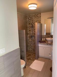 a bathroom with a shower and a toilet and a sink at Appart Flamboyant 1006 in Saint Martin +5 photos