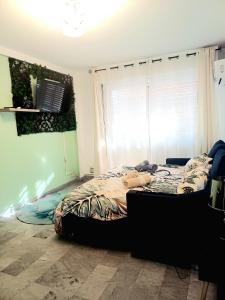 TV a/nebo společenská místnost v ubytování Charmant F1 près tramway et plage