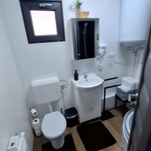 ein Badezimmer mit weißer Toilette und Waschbecken in der Unterkunft Cuibul de pe Deal Coșdeni Bihor  + 33 Fotos