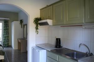 een keuken met groene kasten en een spoelbak bij Captain Homer Studios in Mesongi