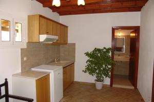 een keuken met een wastafel en een potplant bij Captain Homer Studios in Mesongi +25 foto's