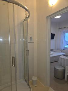 un bagno con doccia, servizi igienici e letto di Biesiadny Dworek a Szpegawa Altre 51 foto