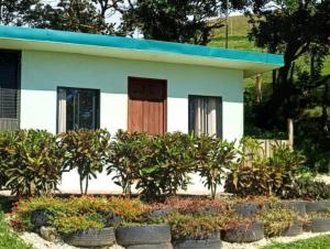 Zahrada ubytování Sunset Farms and Waterfalls!