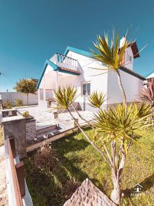 a white house with a palm tree in the yard at Maty's Place in Mafra