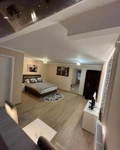 a living room with a bed and a couch at Olimpic Apartmani BG in Batajnica