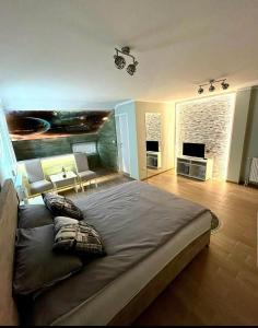 a bedroom with a large bed and a television at Olimpic Apartmani BG in Batajnica