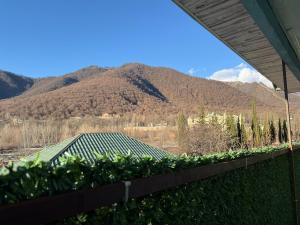 a view from a garden with a mountain in the background at Heaven apartment in Gabala