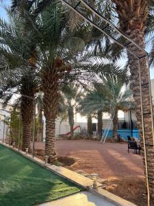 a park with palm trees and a swing at A big house -Isteraha- in Malham