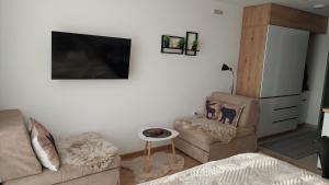 a living room with a couch and a chair at Kopaonik Alibi25 in Kopaonik