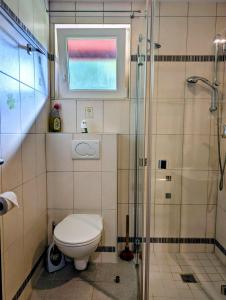 a bathroom with a toilet and a glass shower at Kysthus in Damp +24 photos
