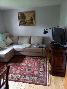 un soggiorno con divano e TV a schermo piatto di Kleine Auszeit für nette Leute a Grebenhain