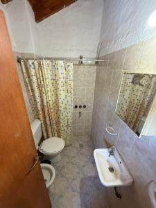 een badkamer met toilet en wastafel bij Hosteria las Palmeras in Mina Clavero