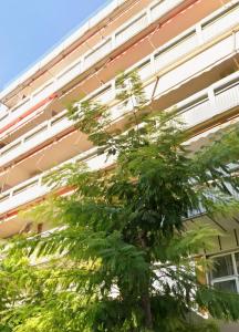 un albero davanti a un edificio di A casa nostra a Loutraki