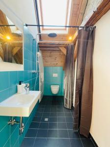 a bathroom with a sink and a toilet in it at Schwarzwald Mauer Loft in Bräunlingen
