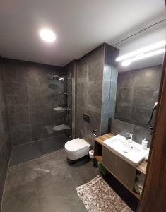 a bathroom with a toilet and a sink and a shower at Apart Hill in Sosnówka