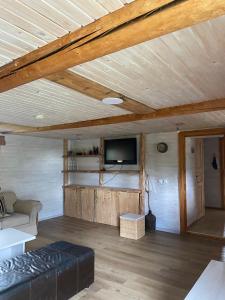 โทรทัศน์และ/หรือระบบความบันเทิงของ Vesilinnu