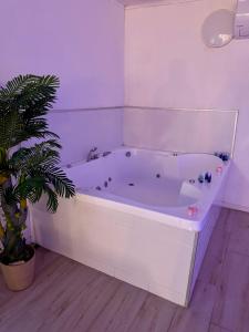 Billede fra billedgalleriet på לקשורי סוויט - Luxury suite i Elqosh