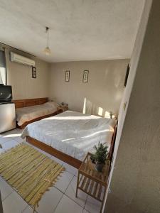 a bedroom with a bed and a table and a tv at Villa Lira in Pavel Banya